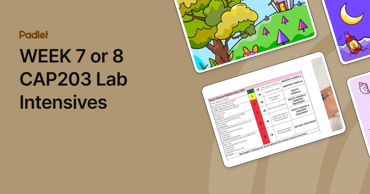 CAP203 WEEK 8 Lab Intensives