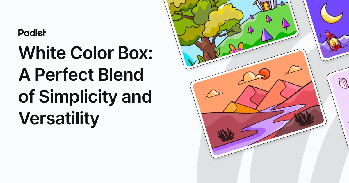 White Color Box: A Perfect Blend of Simplicity and Versatility