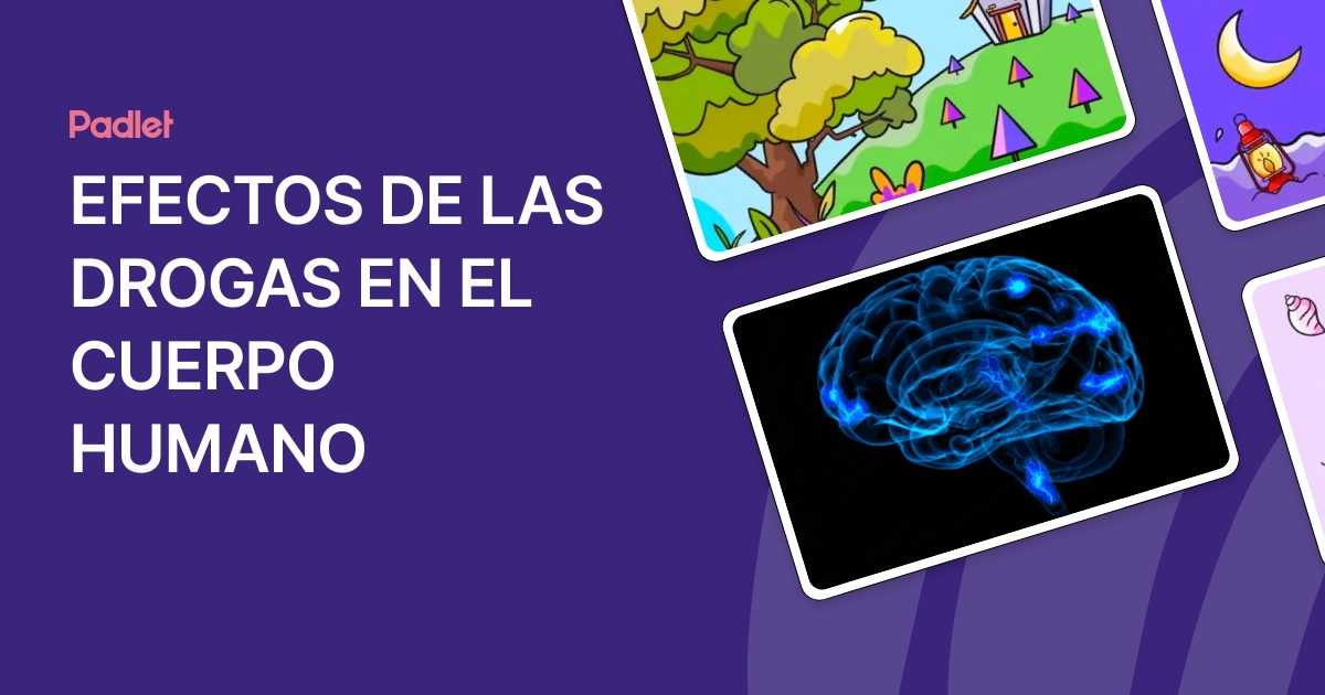 EFECTOS DE LAS DROGAS EN EL CUERPO HUMANO