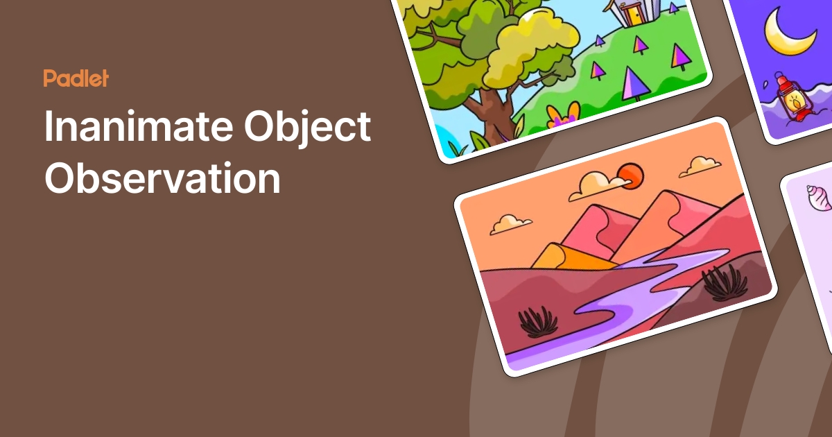 Inanimate Object Observation