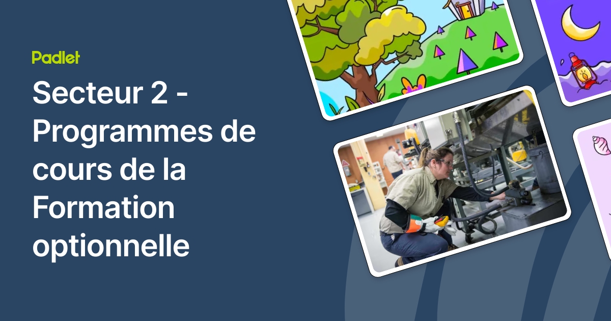 Secteur 2 - Programmes de cours de la Formation optionnelle