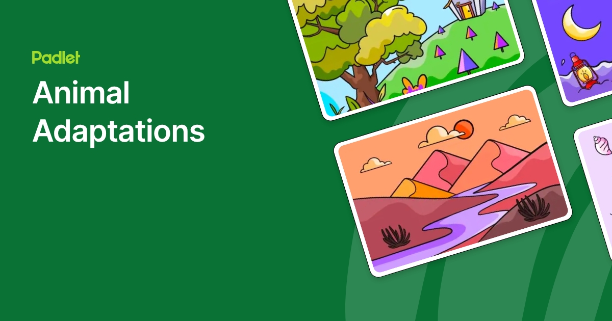 Animal Adaptations