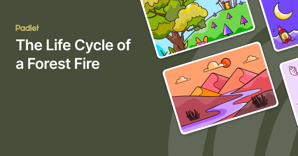 The Life Cycle of a Forest Fire