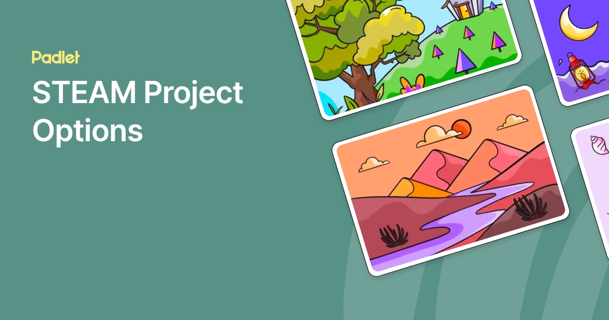 STEAM Project Options