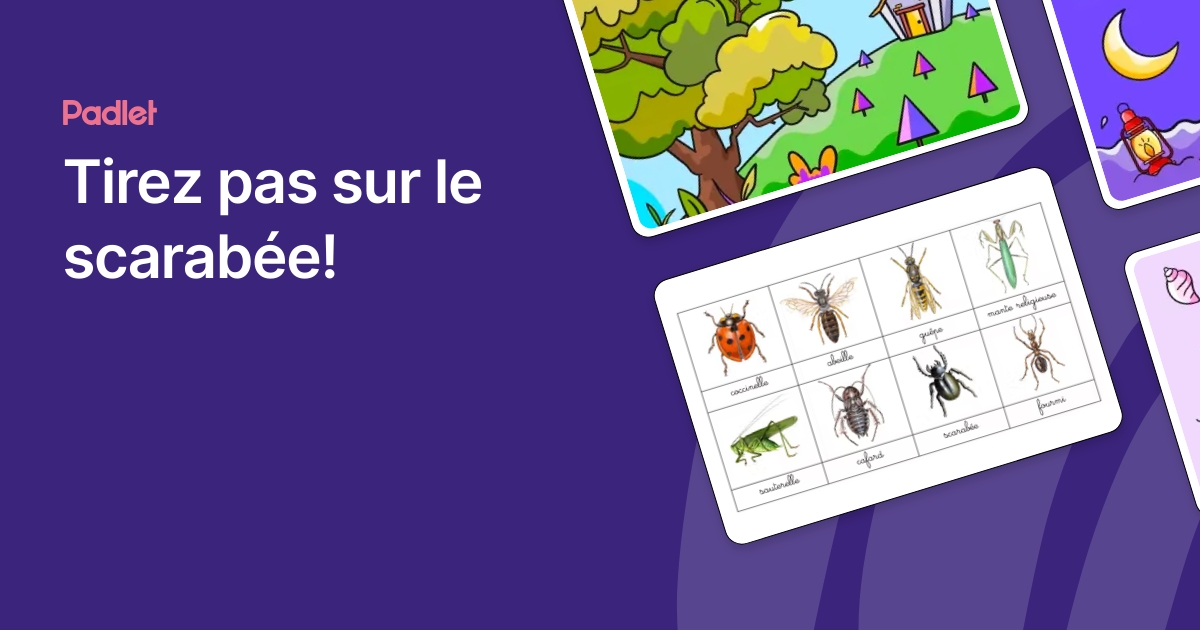 Tirez pas sur le scarabée!