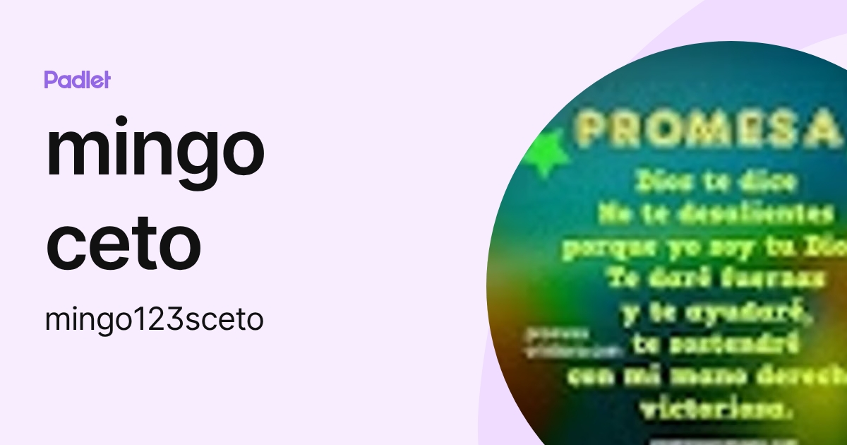 mingo ceto (mingo123sceto) profile | Padlet