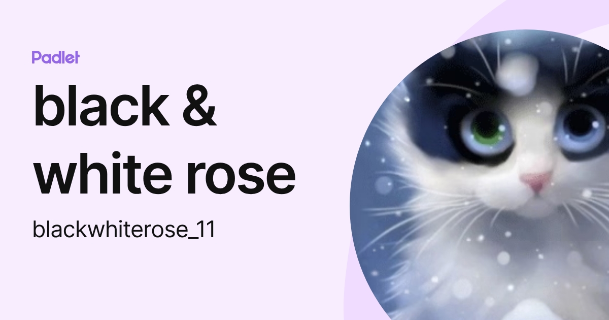 black & white rose (blackwhiterose_11) profile | Padlet