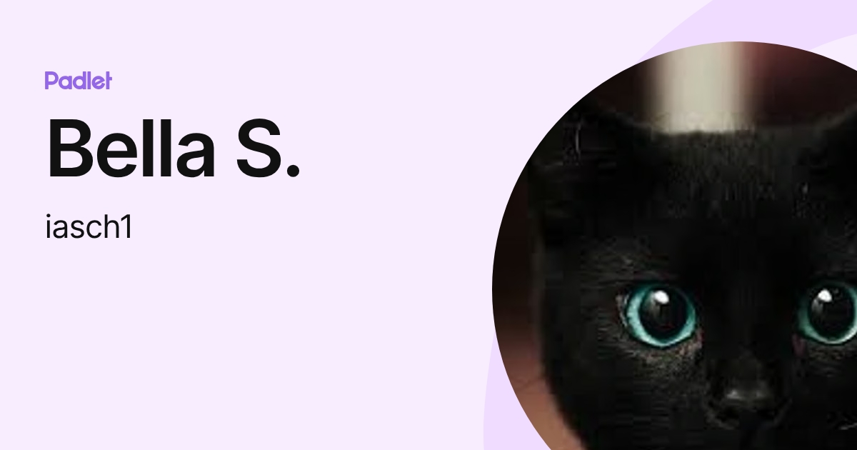 Bella S. (iasch1) profile | Padlet