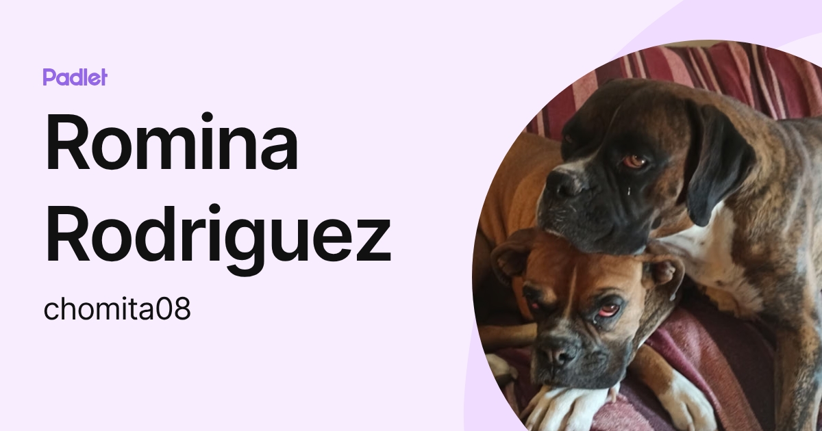 Romina Rodriguez (chomita08) profile | Padlet