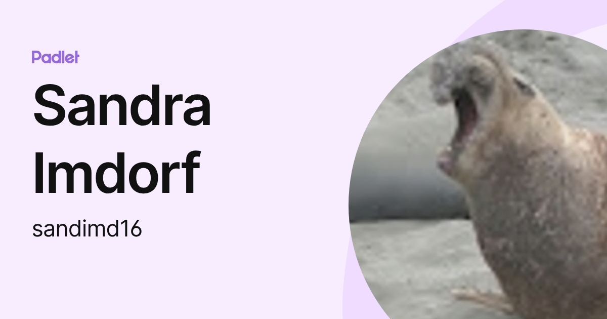 Sandra Imdorf (sandimd16) profile | Padlet