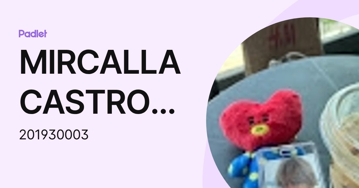 MIRCALLA CASTRO REYES (201930003) profile | Padlet
