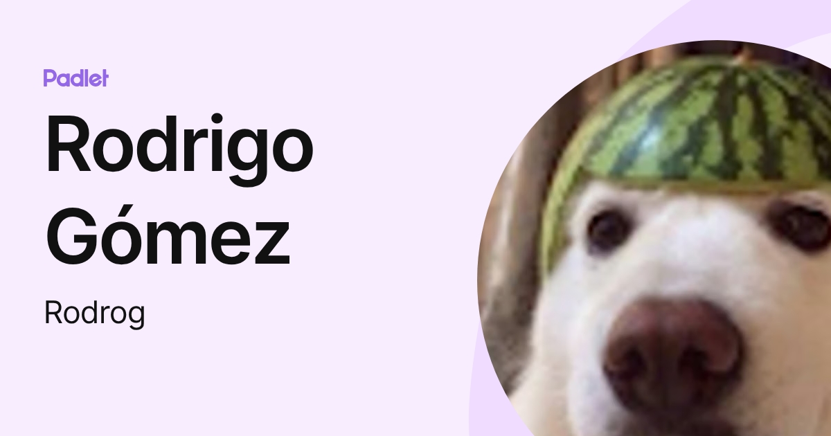 Rodrigo Gómez (Rodrog) profile | Padlet