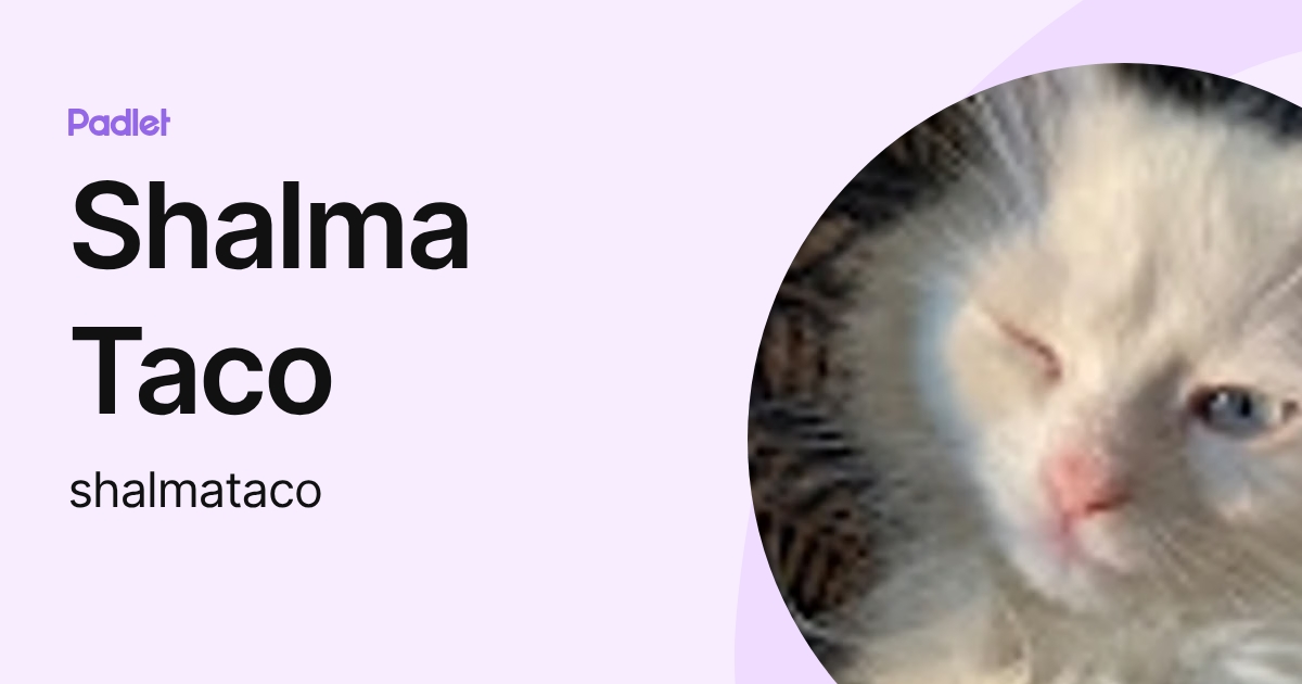 Shalma Taco (shalmataco) profile | Padlet