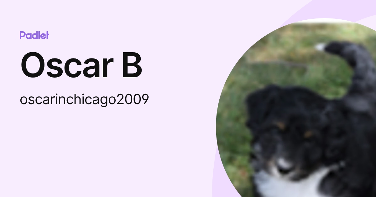 Oscar B (oscarinchicago2009) profile | Padlet