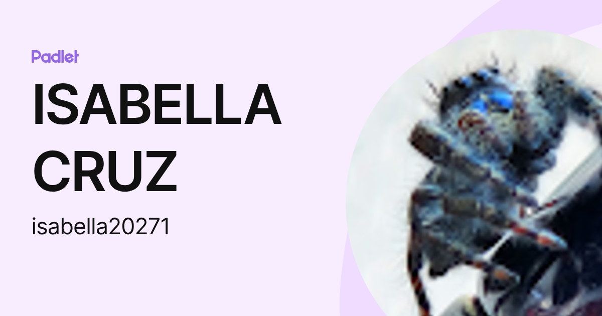 ISABELLA CRUZ (isabella20271) profile | Padlet