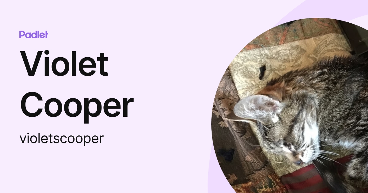 Violet Cooper (violetscooper) profile | Padlet