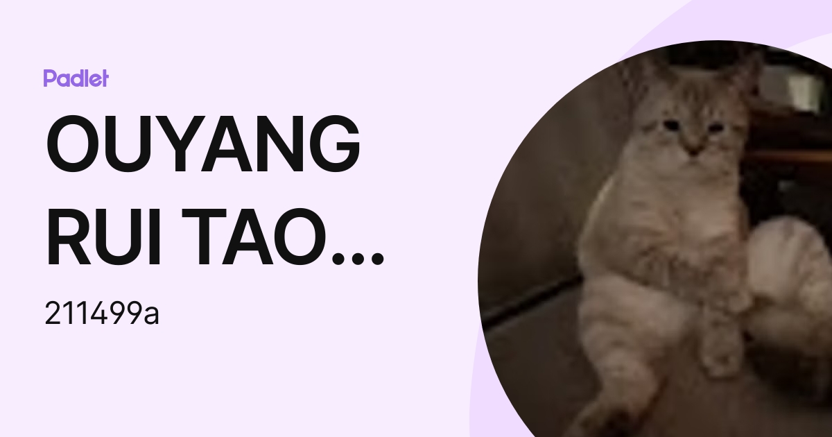 OUYANG RUI TAO HCI (211499a) profile | Padlet