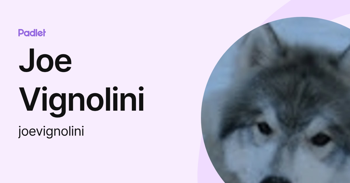 Joe Vignolini (joevignolini) profile | Padlet