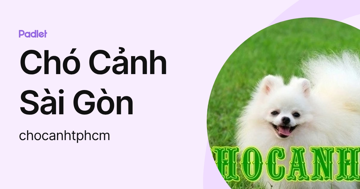 Chó Cảnh Sài Gòn (chocanhtphcm) profile | Padlet