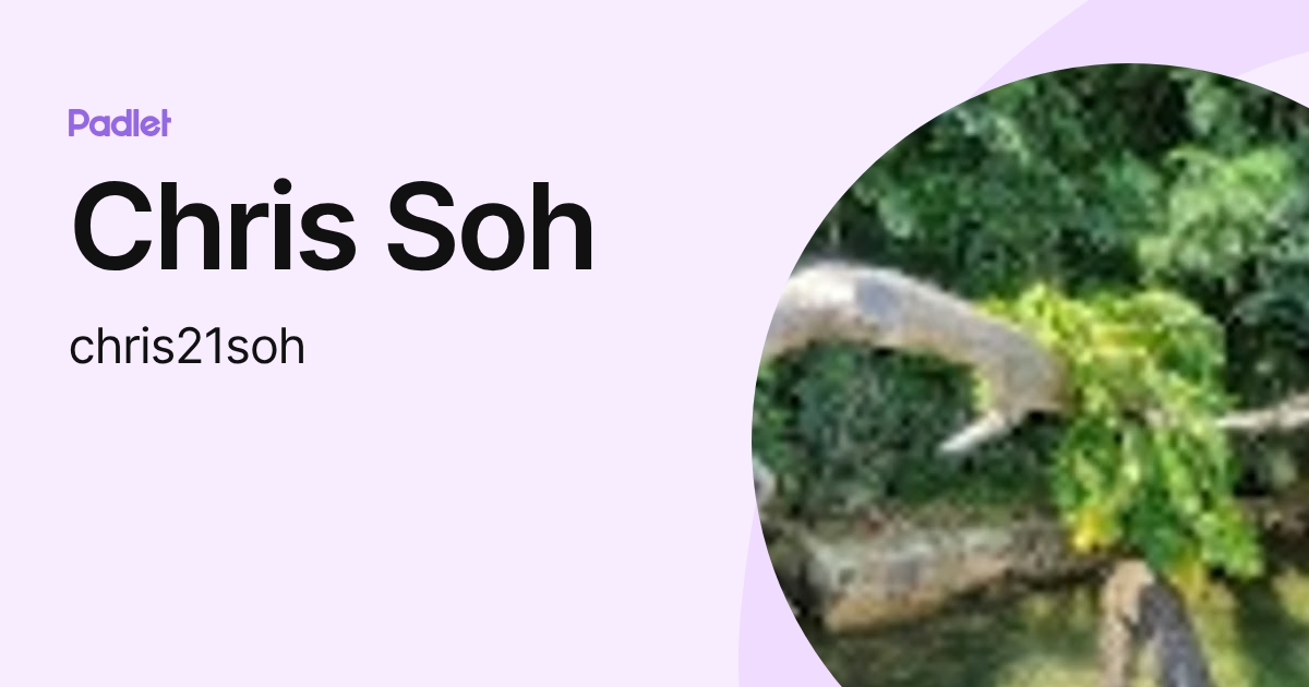 Chris Soh (chris21soh) profile | Padlet