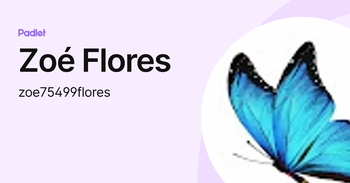 Zoé Flores (zoe75499flores) profile | Padlet