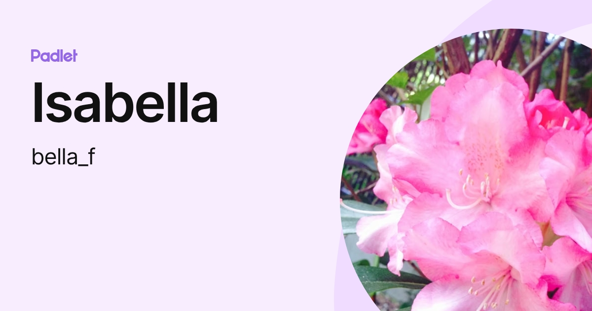 Isabella (bella_f) profile | Padlet