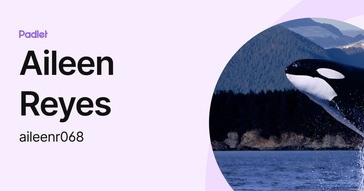 Aileen Reyes (aileenr068) profile | Padlet