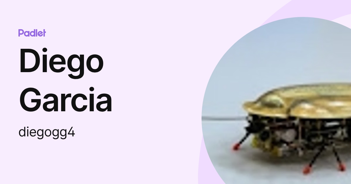 Diego Garcia (diegogg4) profile | Padlet