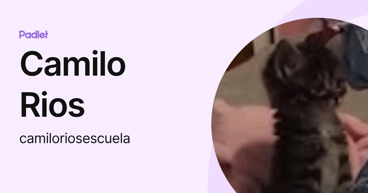Camilo Rios (camiloriosescuela) profile | Padlet