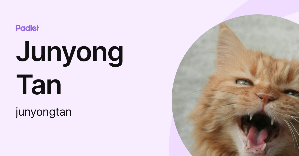 Junyong Tan (junyongtan) profile | Padlet