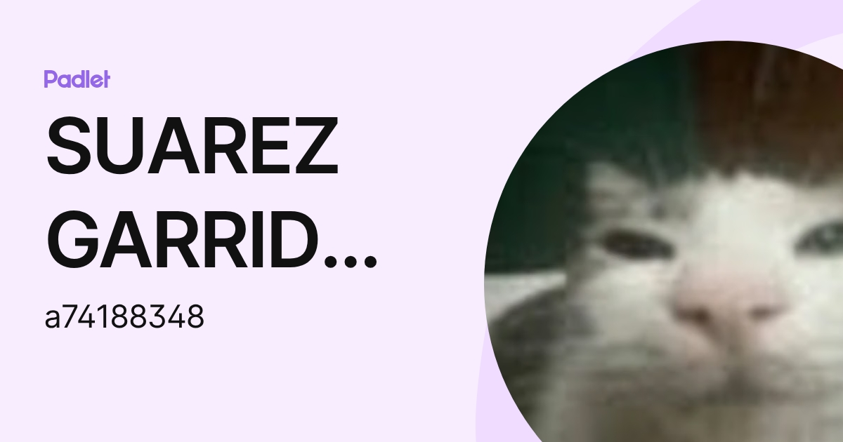 SUAREZ GARRIDO, Gabriel Andre 5B (a74188348) profile | Padlet