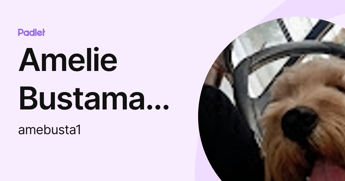 Amelie Bustamante (amebusta1) profile | Padlet