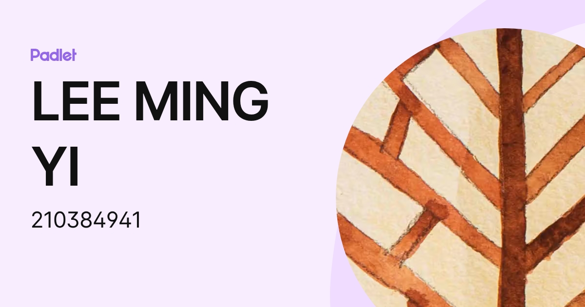 LEE MING YI (210384941) profile | Padlet