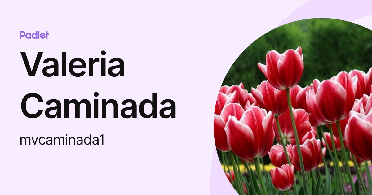 Valeria Caminada (mvcaminada1) profile | Padlet