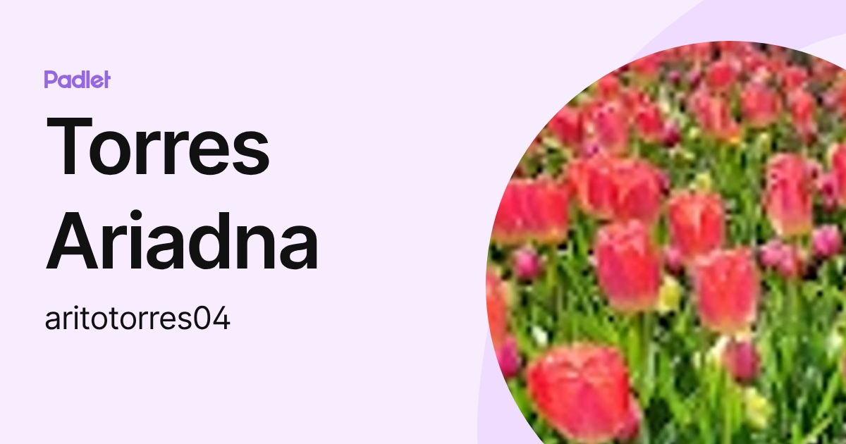 Torres Ariadna (aritotorres04) profile | Padlet