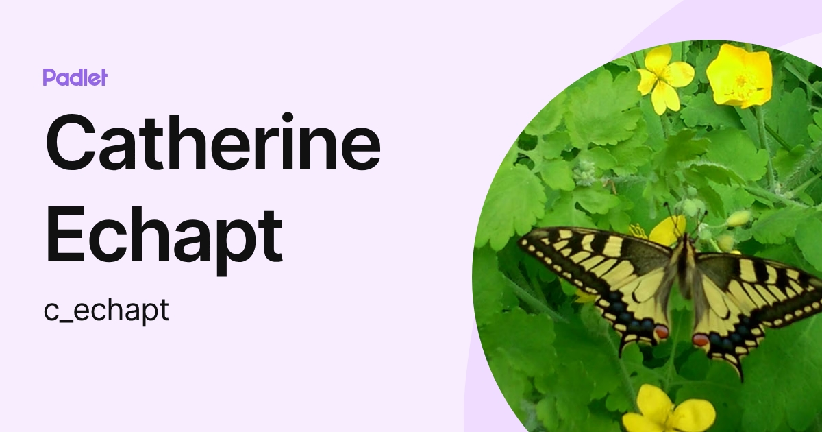 Catherine Echapt (c_echapt) profile | Padlet