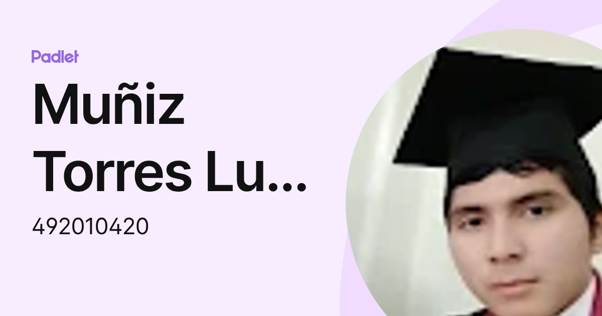 Muñiz Torres Luis Fernando (492010420) profile | Padlet