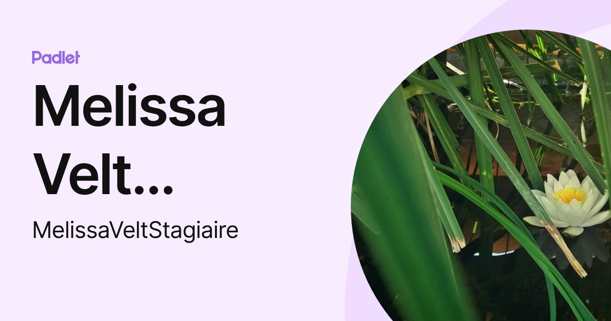 Melissa Velt Stagiare (MelissaVeltStagiaire) profile | Padlet