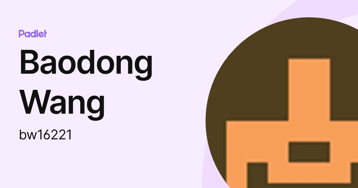 Baodong Wang (bw16221) profile | Padlet