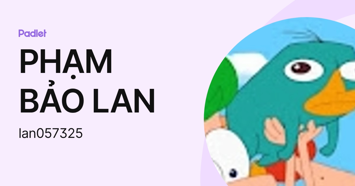 PHẠM BẢO LAN (lan057325) profile | Padlet