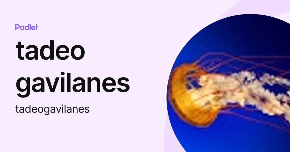 tadeo gavilanes (tadeogavilanes) profile | Padlet