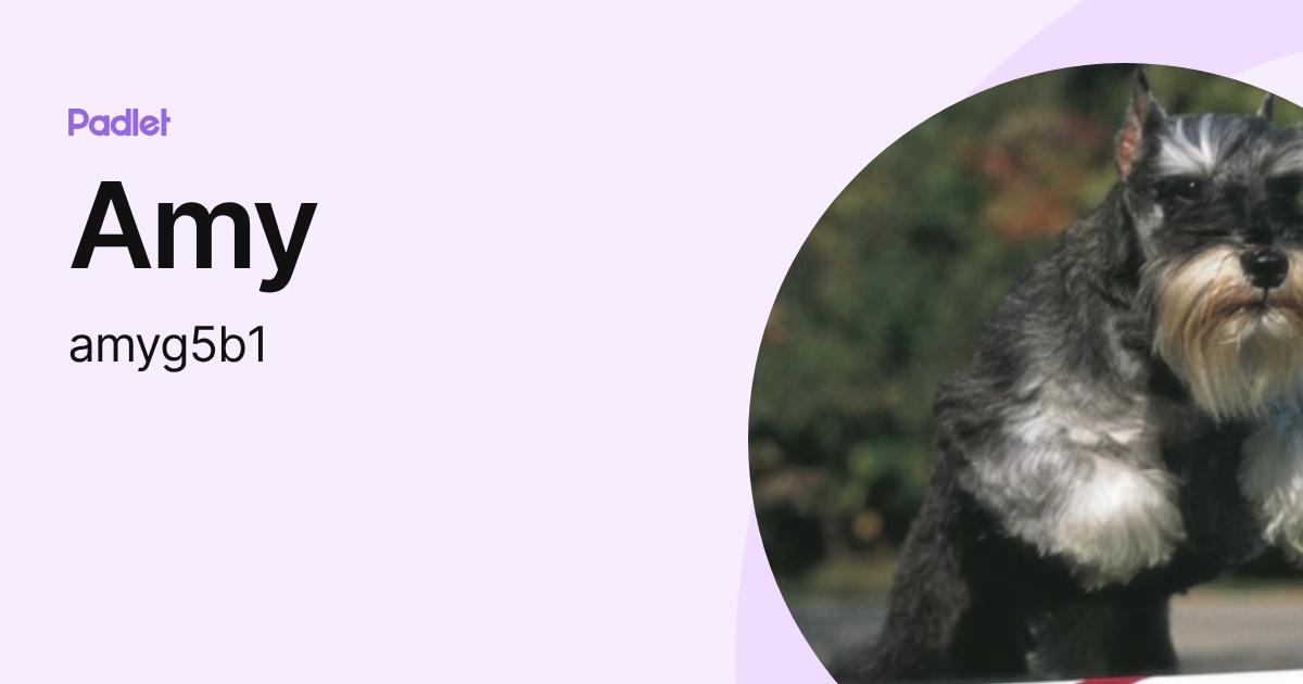 Amy (30amyyu) profile | Padlet