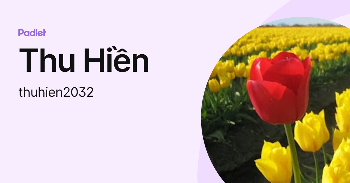 hien thu (thuhien2032) profile | Padlet