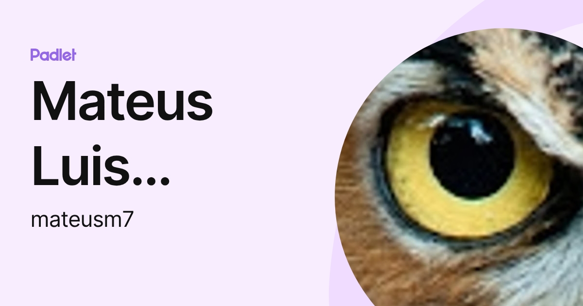 Mateus Luis Moreira (mateusm7) profile | Padlet