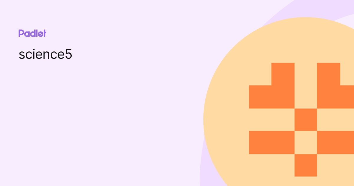 science5 profile | Padlet