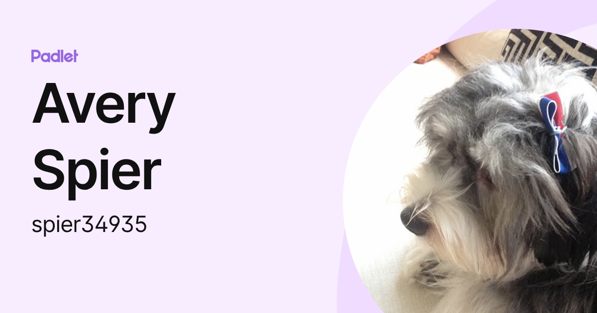 Avery Spier (spier34935) profile | Padlet