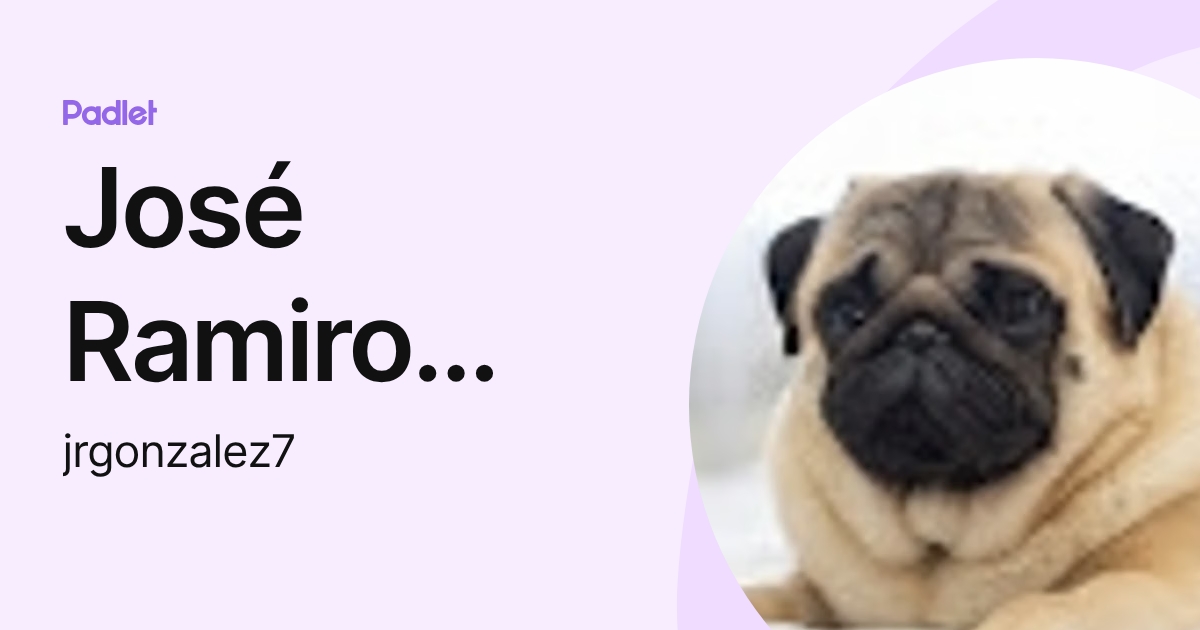 José Ramiro González López (jrgonzalez7) profile | Padlet