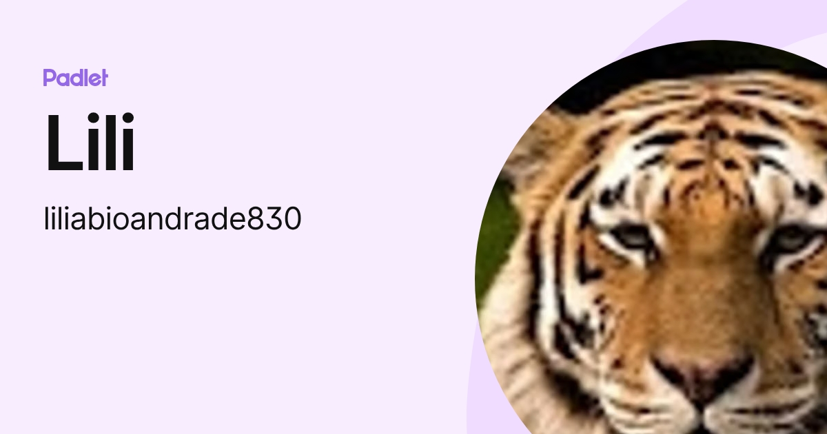 Lili (liliabioandrade830) profile | Padlet