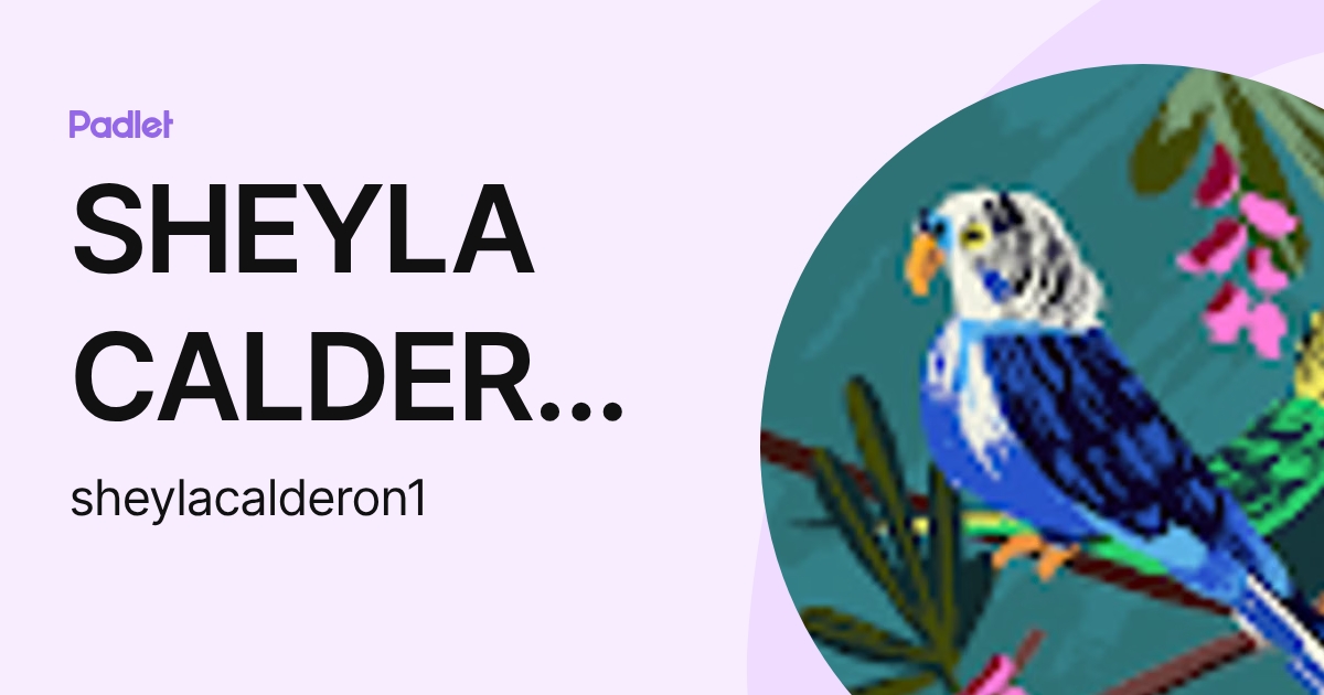 SHEYLA CALDERON de RODRÍGUEZ (sheylacalderon1) profile | Padlet