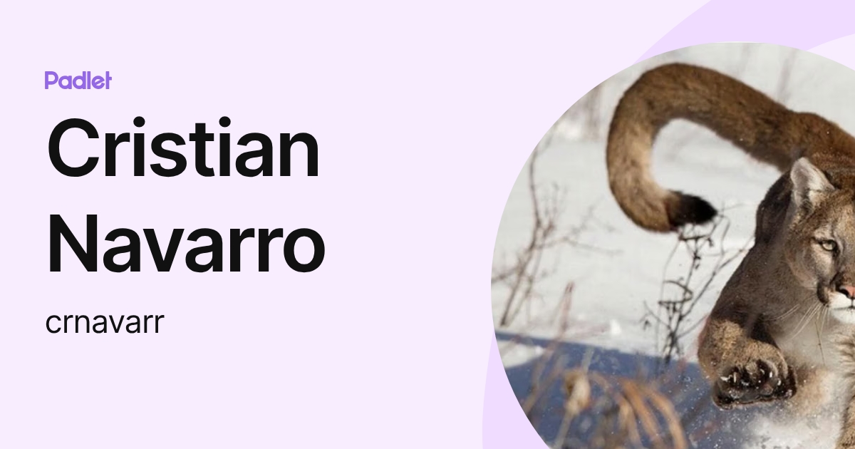 Cristian Navarro (crnavarr) profile | Padlet